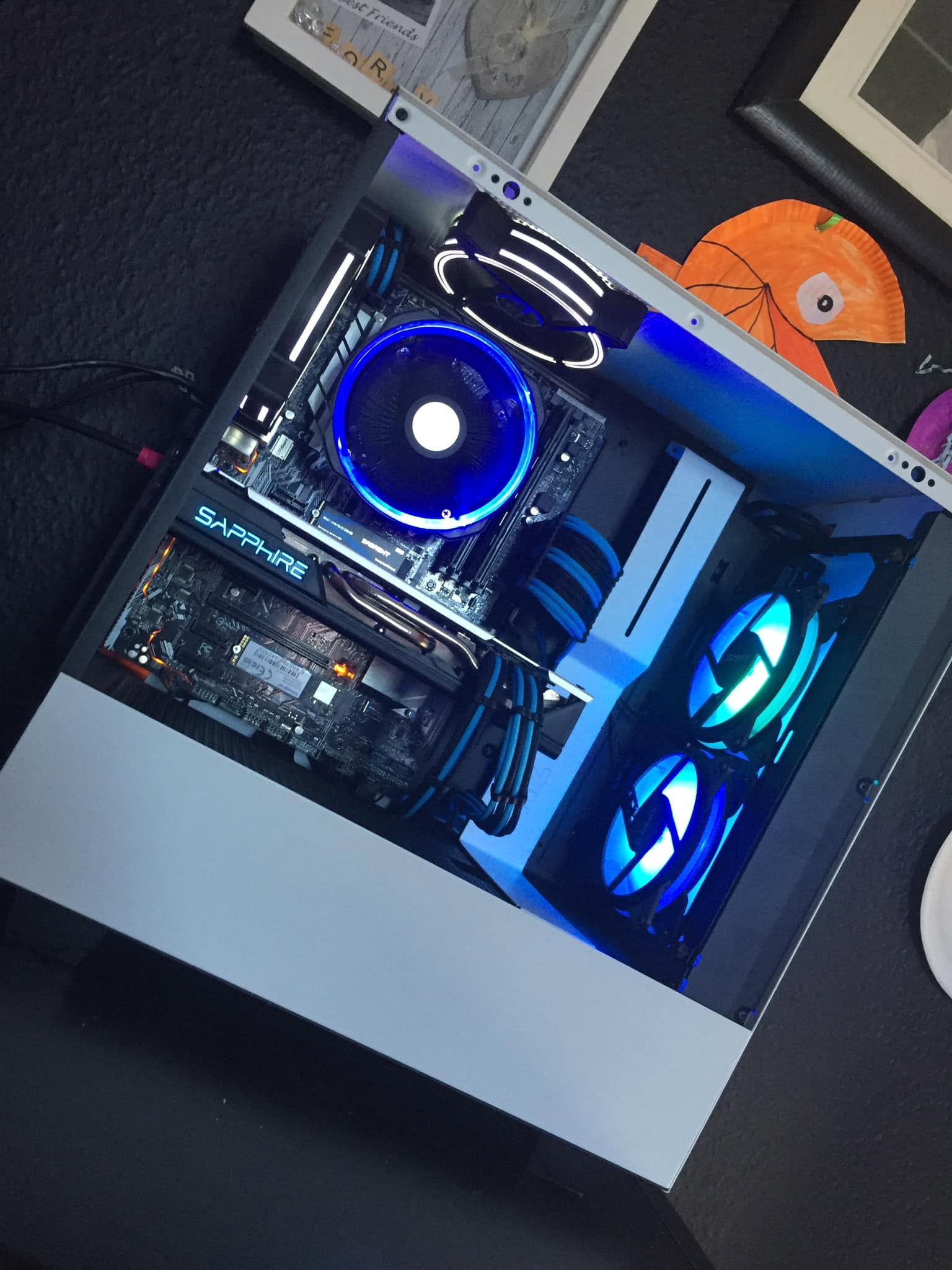 Blue and white build